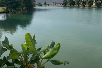 LAGO DE PESCA